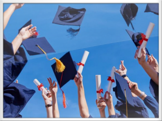Luree e diplomi Luree e diplomi